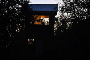 Casa árbol Conguillio National Park